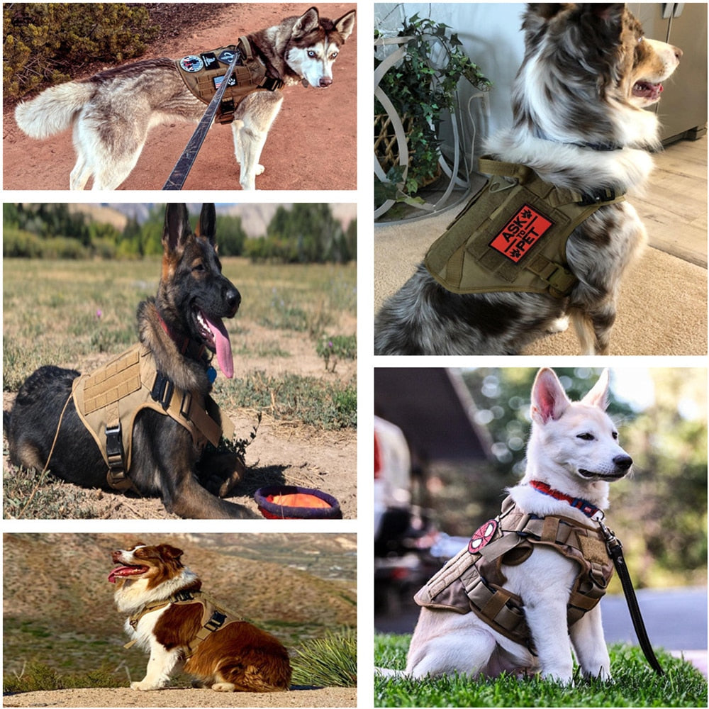 Large Dog Harness Training Walking Vest Dog Harness and Leash and Collar Set For All Breeds Dogs