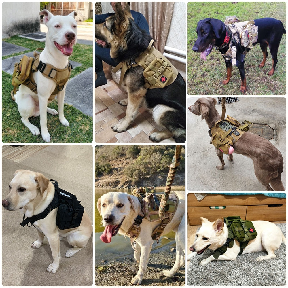 Large Dog Harness Training Walking Vest Dog Harness and Leash and Collar Set For All Breeds Dogs